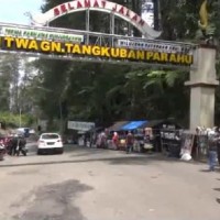 Hutan Kawasan Gunung Tangkuban Parahu di Bandung Barat Terbakar<