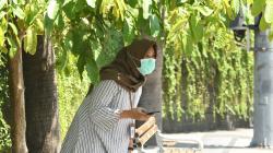 Suhu Panas di Indonesia Mencapai 37 Derajat, BMKG Prediksi hingga 1 Minggu