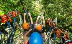 Turis Tewas Terjatuh dari Ketinggian Setara Lantai 5 Gedung saat Bermain Flying Fox di Australia
