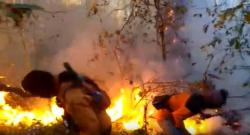 Kebakaran Hutan di Gunung Lawu Karanganyar Meluas, Semua Jalur Pendakian Ditutup