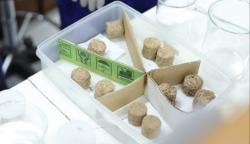 Mahasiswa UGM Olah Sampah Onggok Pohon Aren Menjadi Panel Akustik