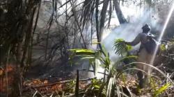 Kebakaran Hutan di Gunung Ciremai Capai 150 Hektare Dalam 5 Hari