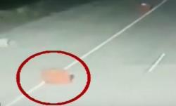 Video Viral Pembatas Jalan di Tol Cipularang KM 65 Purwakarta Bergerak Sendiri