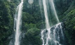 Mengintip Keunikan Air Terjun Sekumpul Bali, Ada 7 Aliran Tersembunyi di Tengah Hutan