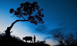 Indahnya Bukit Beta, Spot Terpopuler Menikmati Danau Toba di Samosir
