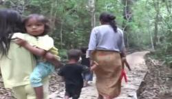 Video TNI Bangun Jalan Setapak untuk Warga Suku Anak Dalam di Jambi