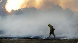 Akibat Kebakaran Hutan California, 2 Orang Tewas dan 35 Rumah Terbakar di Meksiko