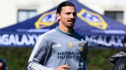 Bologna Optimistis Bisa Datangkan Zlatan Ibrahimovic di Bursa Transfer Musim Dingin