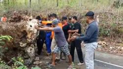 Diguyur Hujan Deras, Jalur Banjarnegara-Wonosobo Lumpuh akibat Tertimbun Longsor<