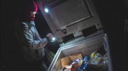 2 Mahasiswi di Jerman Didenda karena Pungut Makanan dari Tempat Sampah Supermarket