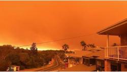 Kawasan Sydney Hadapi Ancaman Kebakaran Hutan Dahsyat, WNI Dipastikan Tak Terdampak