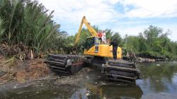 Ratusan Bangkai Babi di Danau Siombak Medan Dikubur, 1 Ekskavator Amfibi Dikerahkan