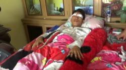 6 Wisatawan Tugu Rimau Gunung Dempo Diserang Harimau, 1 Orang Luka-Luka