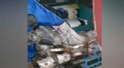 Detik-Detik Polisi Tangkap Pelaku Pembuang Bangkai Babi di Aliran Sungai Medan