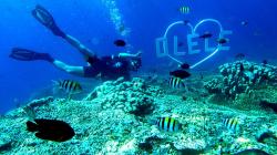 Melihat Keindahan Obyek Wisata Taman Laut Olele di Gorontalo