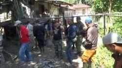 Berbekal Senjata dan Anjing Pelacak, Warga Lahat Buru Harimau yang Masuk ke Perkampungan Mereka