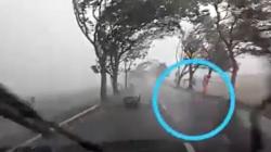 Viral, Perempuan Terbawa Angin dan Tersangkut di Pohon saat Badai Melanda Solo