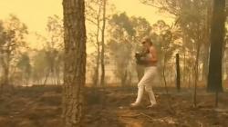Viral, Perempuan di Australia Terobos Kebakaran untuk Selamatkan Koala