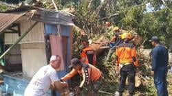Pohon Raksasa Tumbang Timpa 2 Rumah Warga di Temanggung , Ibu dan Anak Tewas saat Sedang Tertidur<