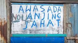 Asyik Jalan Kaki, Seorang Pria Tewas Digigit 7 Anjung Pitbull