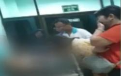 Video Bocah Perempuan 8 Tahun Digigit Anjing Pitbull di Medan saat Beri Makan