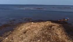 Penampakan Tumpukan Sampah di Muara Sungai Cisadane Bentuk Pulau Seluas 2 Km
