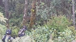 Suara Tembakan Misterius di Tembagapura, Polisi: Masih Kami Analisis