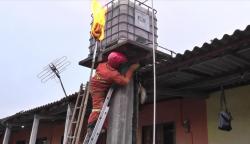 Petugas Damkar Kendal Banjir Permintaan Pemusnahan Sarang Tawon Vespa