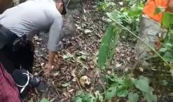 Kerangka Manusia Ditemukan di Hutan Cisarua, Korban Pakai Gelang Persib dan Doraemon