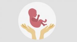 Masih Ingat Kasus Temuan 7 Janin Hasil Aborsi di Makassar? Ini Hasil Tes DNA<