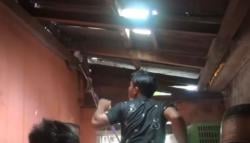Detik-Detik Evakuasi Ular Piton 3 Meter di Plafon Rumah Warga Palangkaraya 