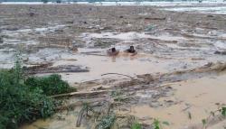 Banjir Terjang Filipina, 66.000 Orang Terpaksa Mengungsi