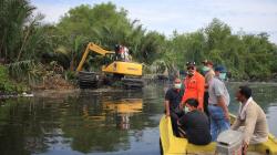 22.985 Ekor Babi Mati Terserang Hog Cholera di 16 Daerah di Sumut, Terbanyak di Deliserdang