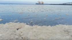 Diduga Tercemar PLTU Paiton, Pantai Bohay di Probolinggo Dipenuhi Buih Putih<