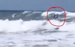 Video Aksi Heroik Peselancar Filipina Lepas Emas Demi Selamatkan Atlet Indonesia