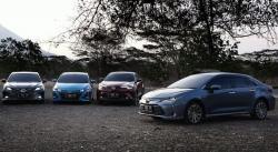 Jajaran Mobil Hybrid Meluncur di Indonesia Sepanjang 2019