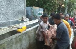 7 Fakta Kasus Pembunuhan Mahasiswi Unib Bengkulu yang Terkubur di Belakang Kos