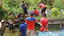 Dorong Kemandirian Ekonomi Warga, Rescue Perindo Gunungkidul Gelar Pelatihan Bibit Lele