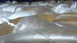 Ribuan Liter Miras Cap Tikus Diamankan Polisi di Gorontalo Bersama 5 Tersangka