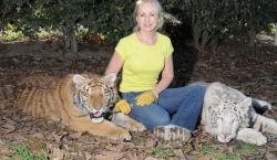 Perempuan AS Diterkam 2 Harimau Peliharaannya saat Bermain