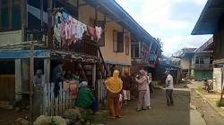 Teror Harimau di Pagaralam, Warga Resah Setiap Satu Jam Balik ke Rumah