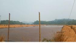 Bau Menyengat Diduga dari Limbah Pabrik Kelapa Sawit Resahkan Warga Ketapang