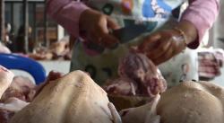 Jelang Nataru, Harga Daging Ayam di Kulonprogo Merambat Naik<