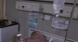 Video Ibu Rumah Tangga di Klaten Digigit Ular Kobra dalam Kandang Ayam