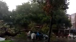 Hujan Angin di Solo, Pohon Tumbang Timpa Mobil dan Ganggu Perjalanan KA