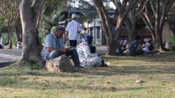 Anjuran Rasulullah SAW untuk Menghafal Surat Al Mulk<