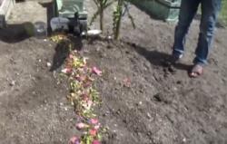 Video Pelajar di Jombang Tewas Ditendang Pelatih Pencak Silat