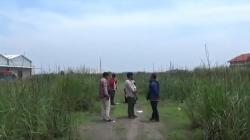 Mahasiswi Keperawatan Sidoarjo Ditemukan Tewas Telanjang, Polisi Periksa 6 Saksi