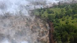 Kementerian LHK Segel Dua Lahan Perusahaan Sawit di Kalteng terkait Karhutla