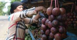 Indonesia Kembali Ekspor Manggis ke China